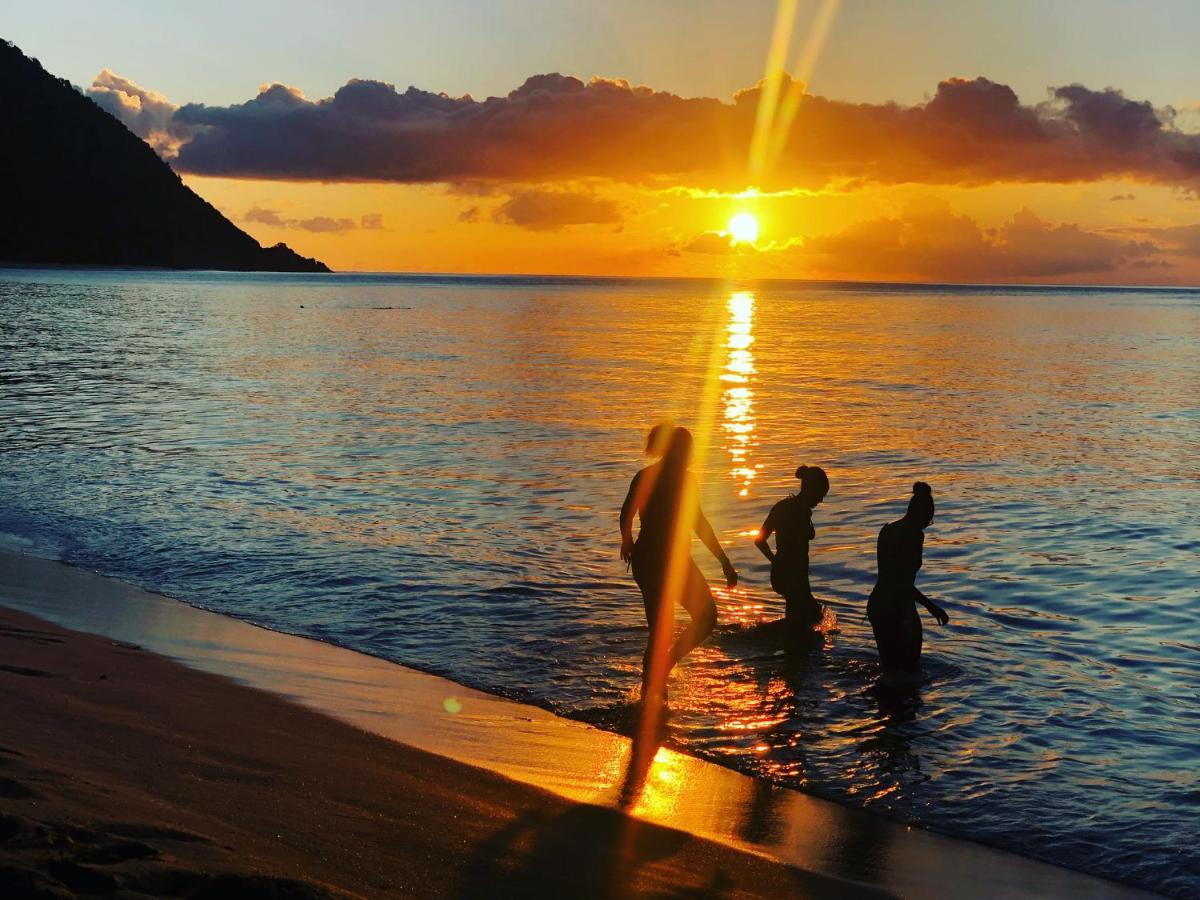 Vue Mer/3Beds/Piscine/Wifi/900 Metres De La Plage Deshaies Eksteriør billede