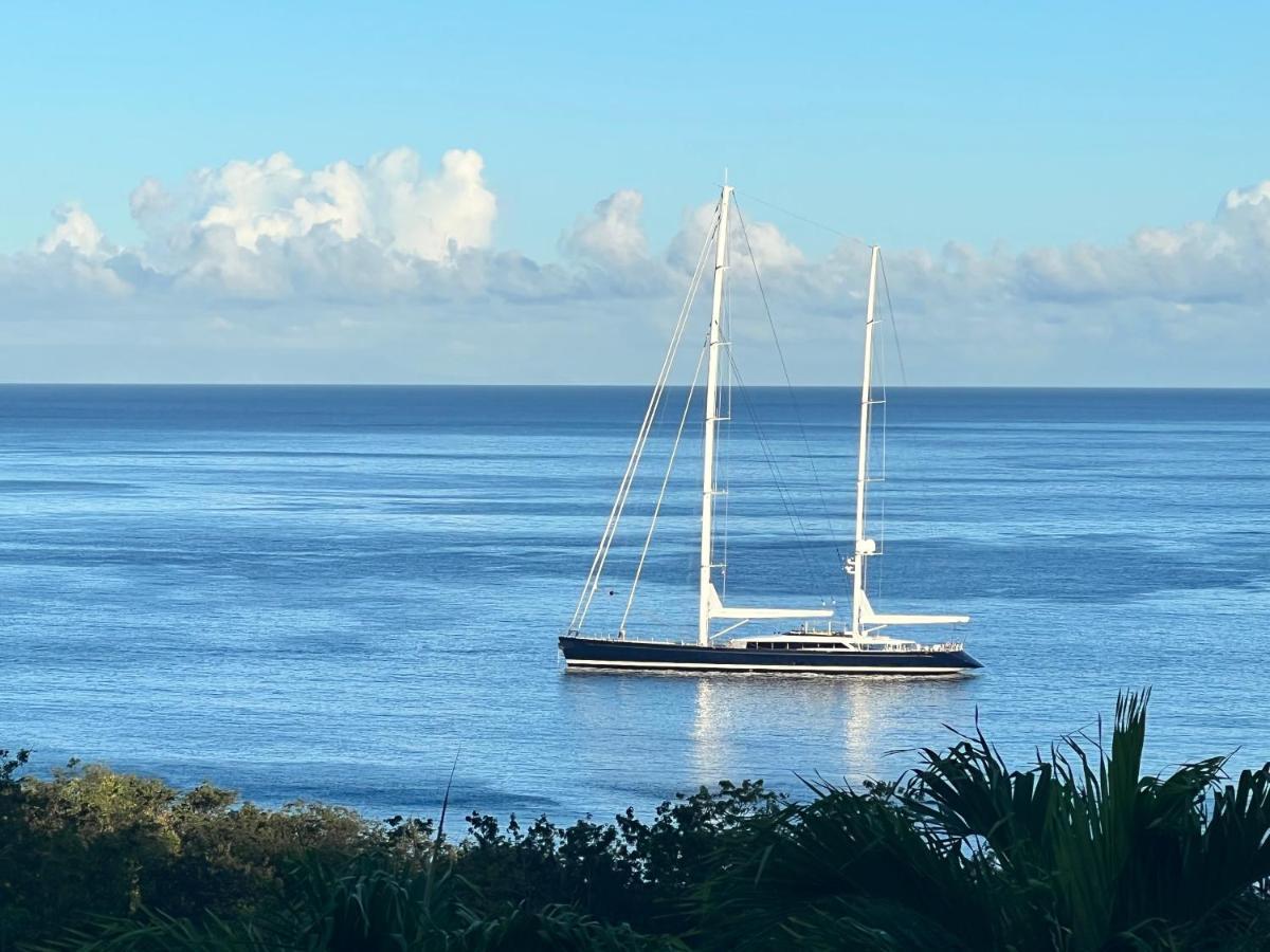 Vue Mer/3Beds/Piscine/Wifi/900 Metres De La Plage Deshaies Eksteriør billede