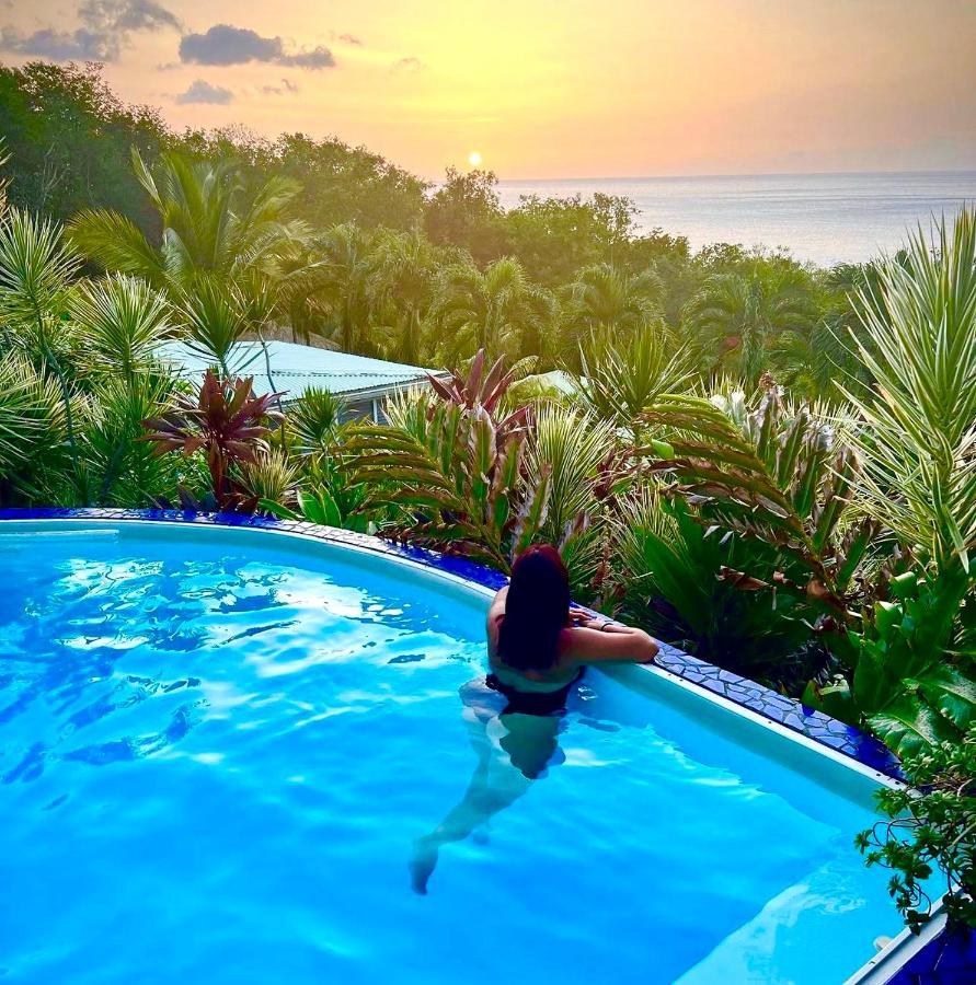 Vue Mer/3Beds/Piscine/Wifi/900 Metres De La Plage Deshaies Eksteriør billede