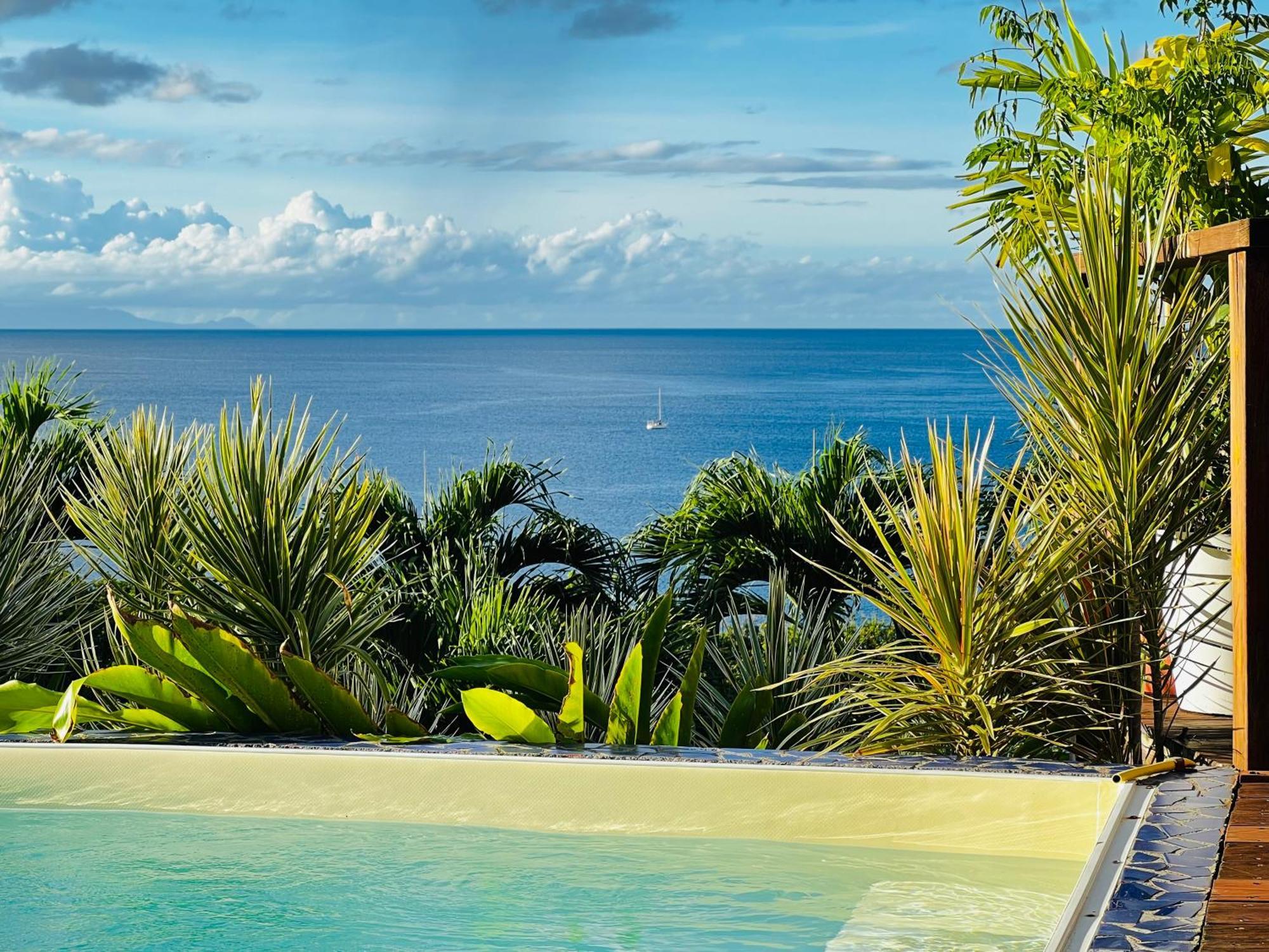 Vue Mer/3Beds/Piscine/Wifi/900 Metres De La Plage Deshaies Eksteriør billede