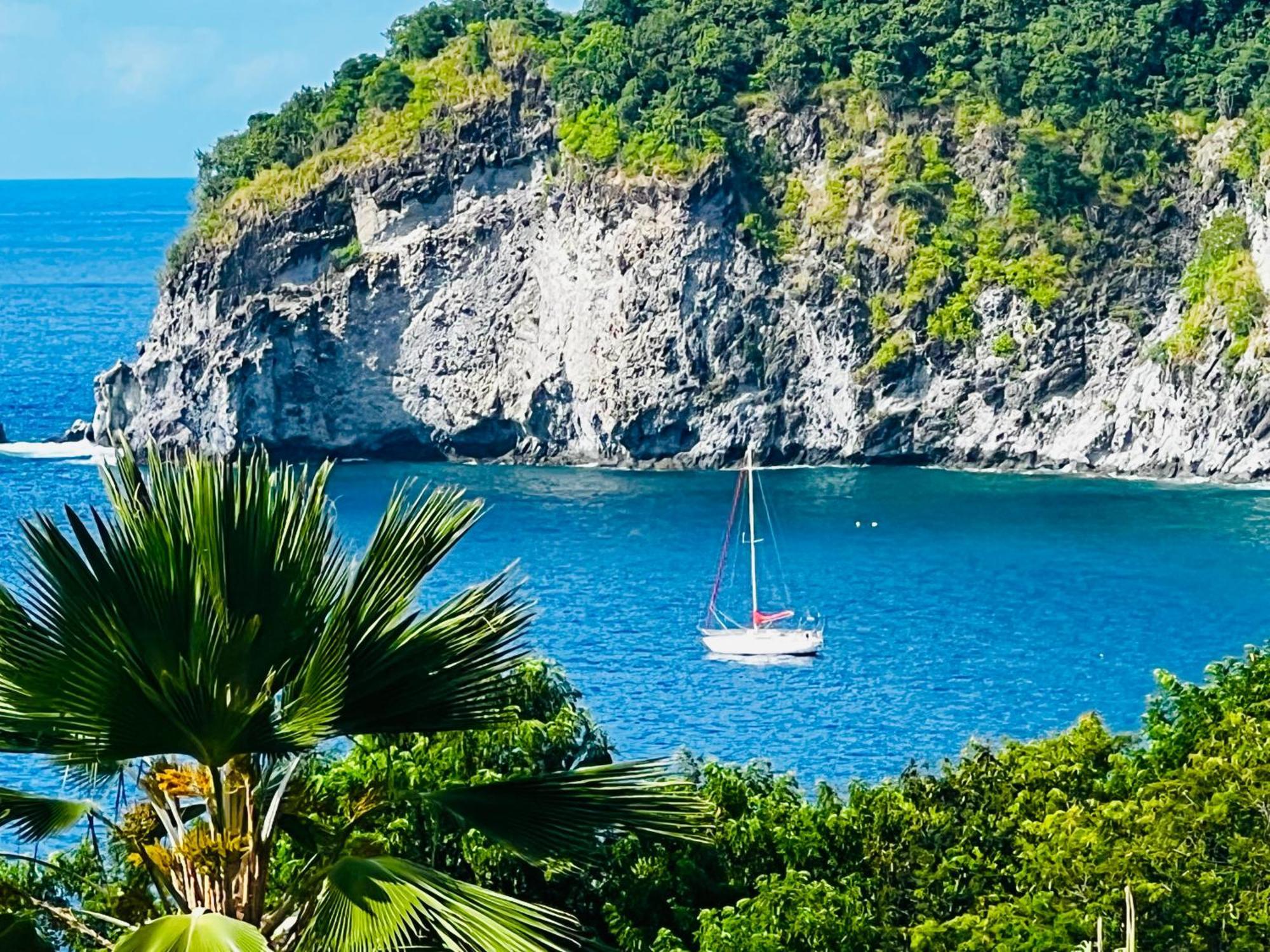 Vue Mer/3Beds/Piscine/Wifi/900 Metres De La Plage Deshaies Eksteriør billede